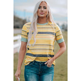 Multicolored Striped Round Neck Tee Shirt