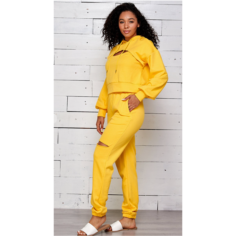 Cut Out Hooded Jogger Pants Set - Spicie's Boutique